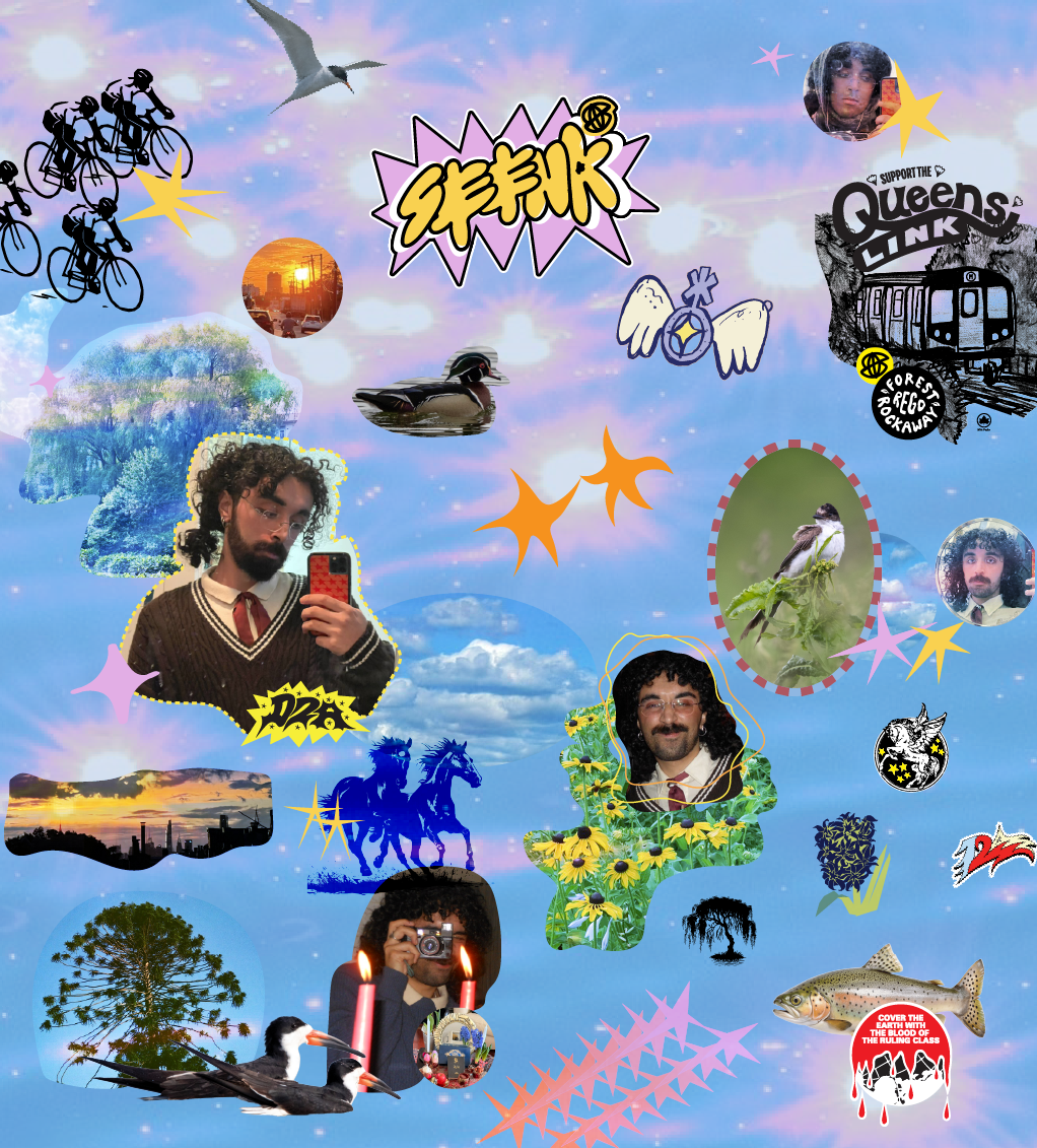 seena collage